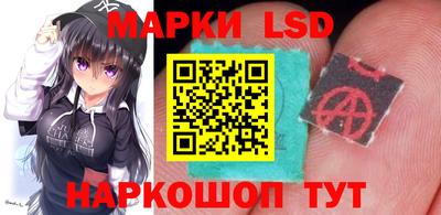 гидропоника Донской
