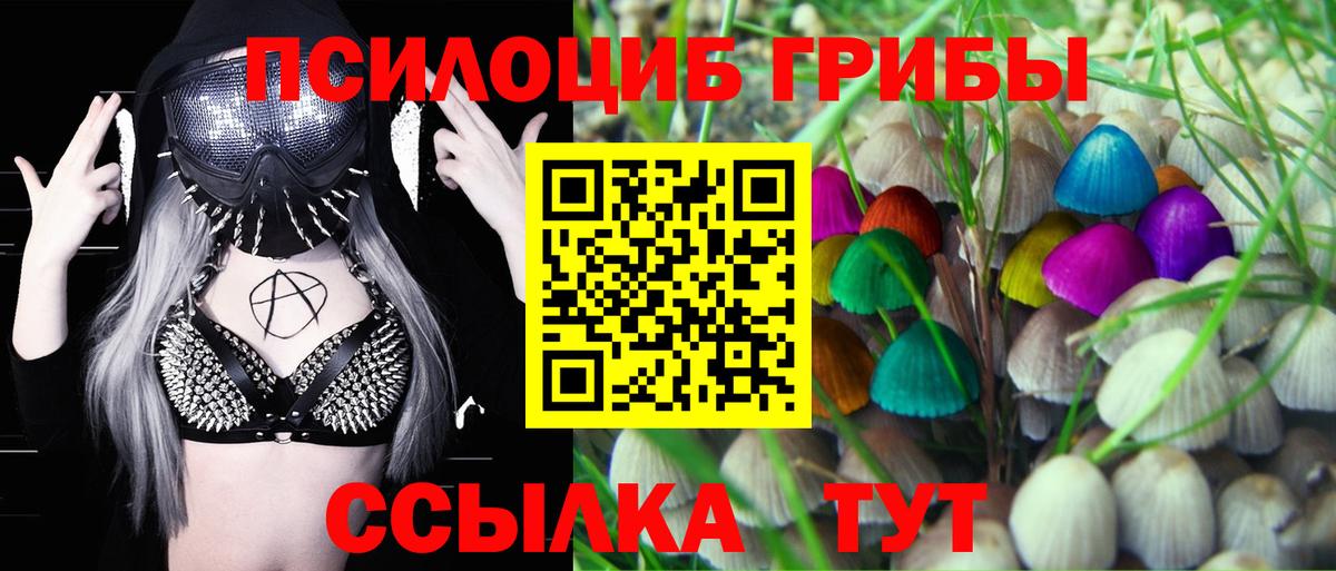 Кемерово  Псилоцибиновые грибы GOLDEN TEACHER  Вход с VPN 