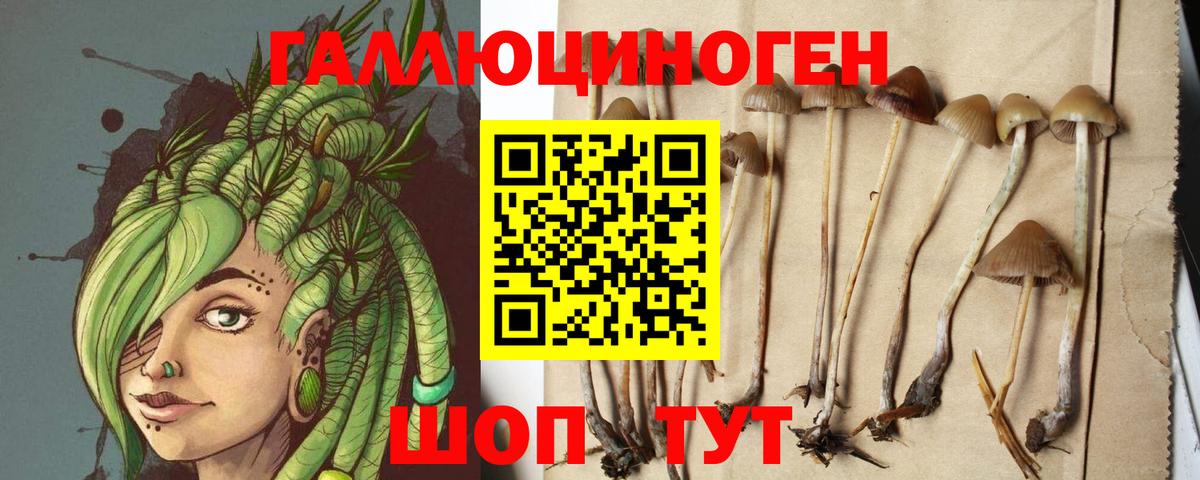 Галлюциногенные грибы GOLDEN TEACHER Кемерово