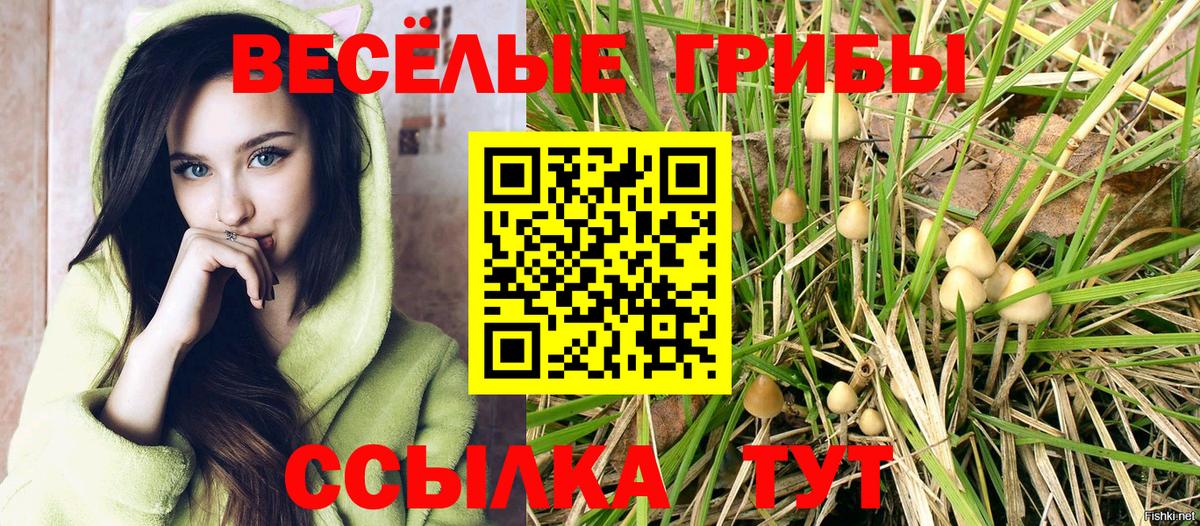 Галлюциногенные грибы мухоморы  Кемерово 